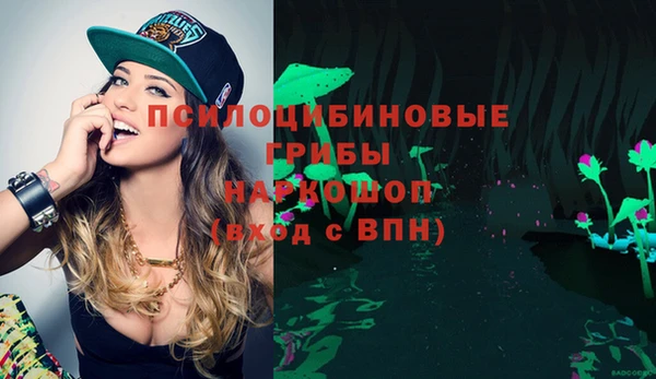 Альфа ПВП Горнозаводск