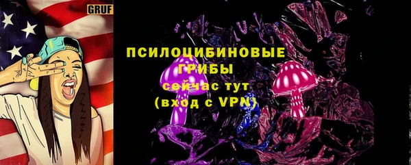 Альфа ПВП Горнозаводск