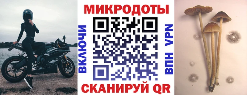 Псилоцибиновые грибы прущие грибы  Купить где  Зерноград 